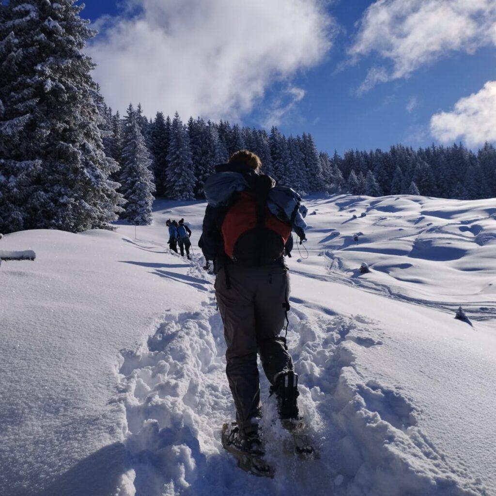 Raquettes en Vercors