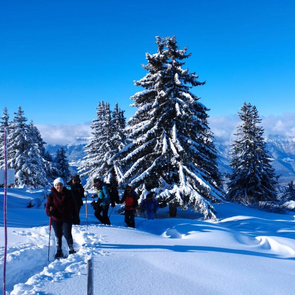 Randonnée raquette en Vercors
