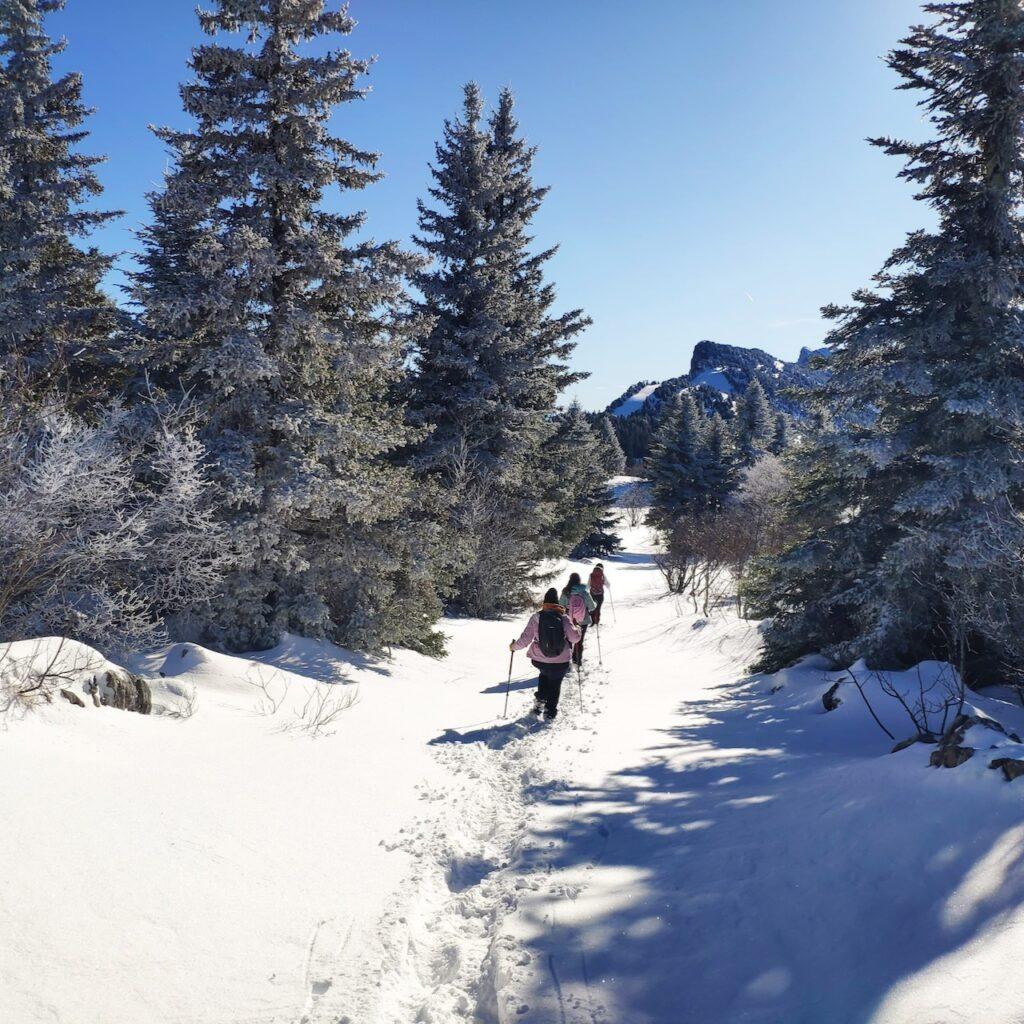 Balade raquette en hiver en Vercors